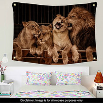 Lion And Three Lioness Wall Art 49550667