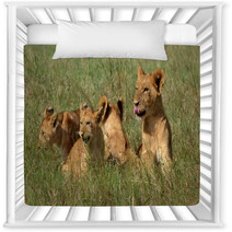 Lion Cubs Nursery Decor 65364692