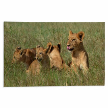 Lion Cubs Rugs 65364692