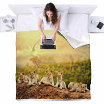 Lion Cubs Waiting Together. Blankets 62139842