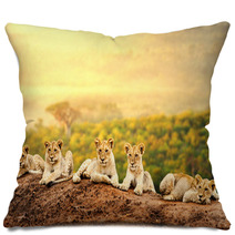 Lion Cubs Waiting Together. Pillows 62139842