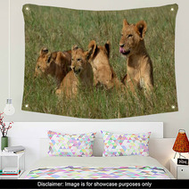 Lion Cubs Wall Art 65364692