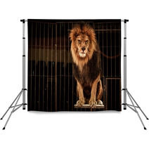 Lion In Circus Cage Backdrops 49550661