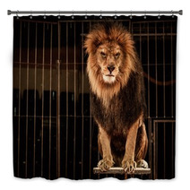 Lion In Circus Cage Bath Decor 49550661