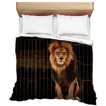 Lion In Circus Cage Bedding 49550661
