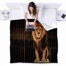 Lion In Circus Cage Blankets 49550661