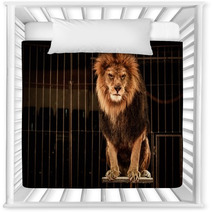Lion In Circus Cage Nursery Decor 49550661