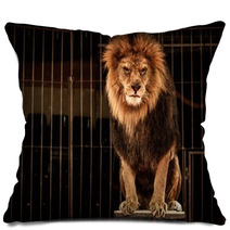Lion In Circus Cage Pillows 49550661