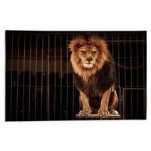 Lion In Circus Cage Rugs 49550661