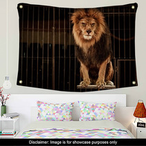 Lion In Circus Cage Wall Art 49550661