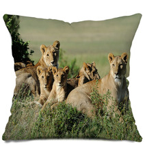 Lion Pillows 66319874