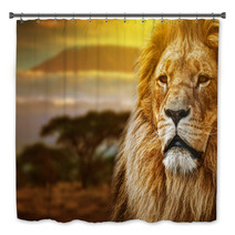 Lion Portrait On Savanna Background And Mount Kilimanjaro Bath Decor 57644661