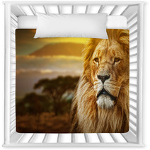 Lion Portrait On Savanna Background And Mount Kilimanjaro Nursery Decor 57644661