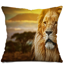 Lion Portrait On Savanna Background And Mount Kilimanjaro Pillows 57644661