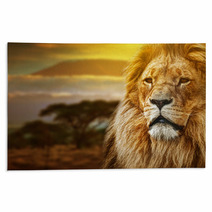 Lion Portrait On Savanna Background And Mount Kilimanjaro Rugs 57644661