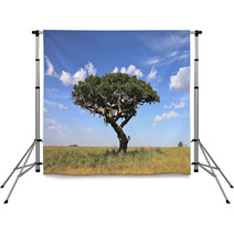 Lions On Tree Backdrops 39730314