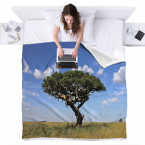 Lions On Tree Blankets 39730314