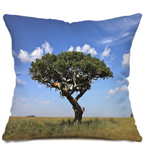 Lions On Tree Pillows 39730314