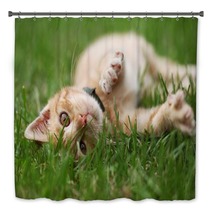 Little Cat Playing In Grass Bath Decor 53800434