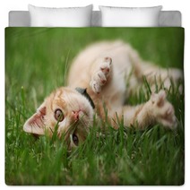 Little Cat Playing In Grass Bedding 53800434