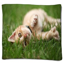 Little Cat Playing In Grass Blankets 53800434