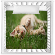 Little Cat Playing In Grass Nursery Decor 53800434