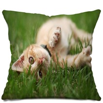 Little Cat Playing In Grass Pillows 53800434