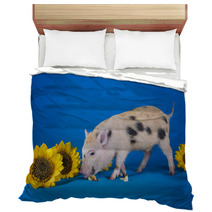 Little Funny Minipig On A Colored Background Bedding 72756073