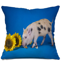 Little Funny Minipig On A Colored Background Pillows 72756073