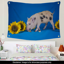 Little Funny Minipig On A Colored Background Wall Art 72756073