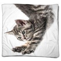 Little Kittenplaying On A White Background Blankets 53222548