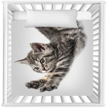 Little Kittenplaying On A White Background Nursery Decor 53222548