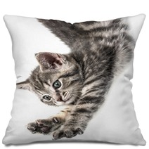 Little Kittenplaying On A White Background Pillows 53222548
