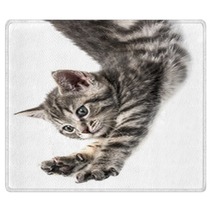 Little Kittenplaying On A White Background Rugs 53222548