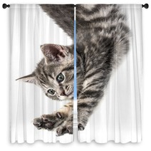 Little Kittenplaying On A White Background Window Curtains 53222548