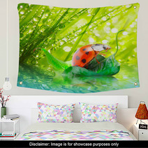 Little Ladybug Floating On The Leaf. Wall Art 50411629