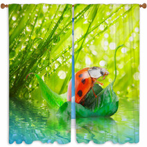 Little Ladybug Floating On The Leaf. Window Curtains 50411629
