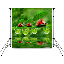 Little Ladybugs With Umbrella. Backdrops 58636971