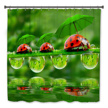 Little Ladybugs With Umbrella. Bath Decor 58636971
