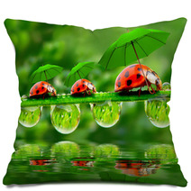 Little Ladybugs With Umbrella. Pillows 58636971