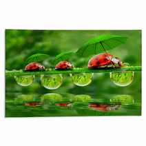 Little Ladybugs With Umbrella. Rugs 58636971