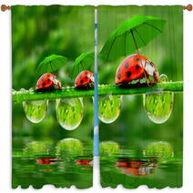 Little Ladybugs With Umbrella. Window Curtains 58636971