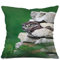 Little Owl Pillows 48614654