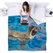Little Penguin Swimming In Blue Water. Blankets 72678599