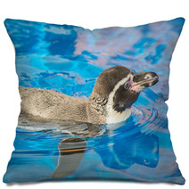 Little Penguin Swimming In Blue Water. Pillows 72678599