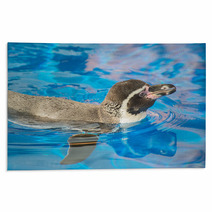 Little Penguin Swimming In Blue Water. Rugs 72678599