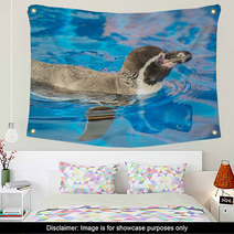Little Penguin Swimming In Blue Water. Wall Art 72678599