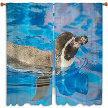 Little Penguin Swimming In Blue Water. Window Curtains 72678599