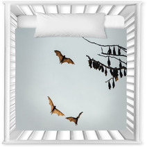 Little Red Flying-foxes Roosting On A Tree And In Flight. Nursery Decor 94047359