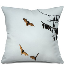Little Red Flying-foxes Roosting On A Tree And In Flight. Pillows 94047359